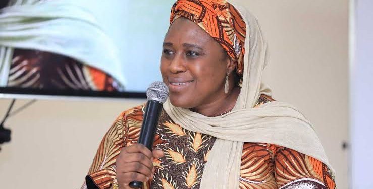 Maternal health: Presidential adviser urges Sokoto to seek home-grown solutions