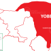 564 persons recover from Meningitis in Yobe