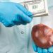 NAPTIP arraigns MD Alliance Hospital, three others for organ harvesting 