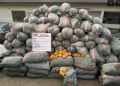 How Kaduna school children, teachers in Zamfara gained freedom