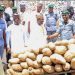 Adeniyi seeks cooperation of Kano traders against illegal food export