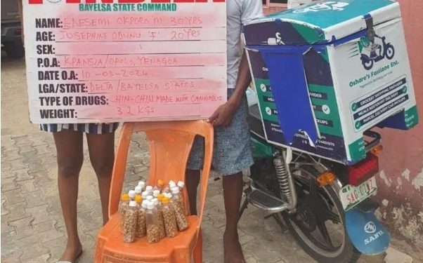 NDLEA nabs distributors of cannabis chin chin