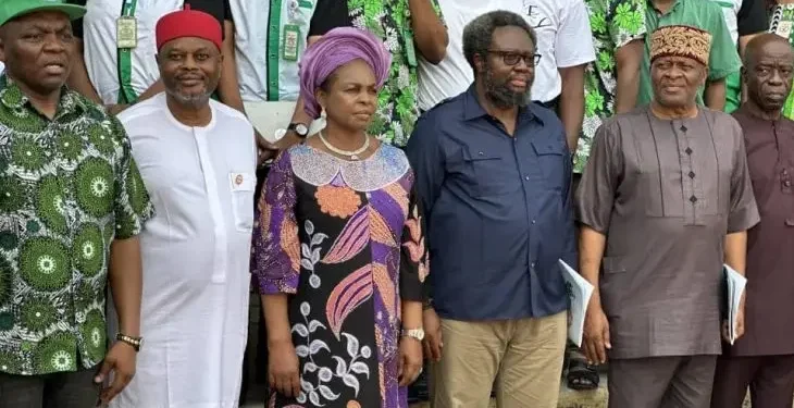 NNMDA launches locally-formulated drugs for diabetes, sickle cell, 2 others amid high cost of orthodox medications