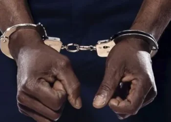 Just seven days at work, househelp murders employer