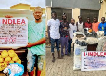 NDLEA discovers illicit drug consignments, apprehend grandpas, others