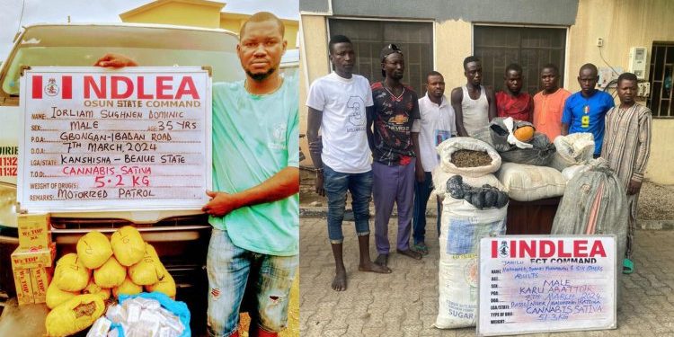 NDLEA discovers illicit drug consignments, apprehend grandpas, others