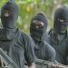 Unknown gunmen ambush, kill two Police officers in Imo State