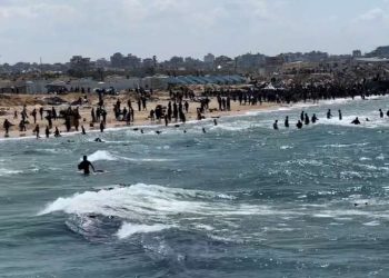 Twelve people drown while retrieving airdropped aid in Gaza (video)