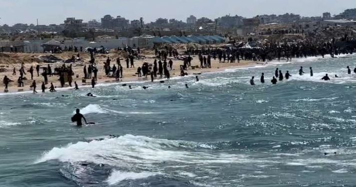 Twelve people drown while retrieving airdropped aid in Gaza (video)