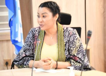 FG unveils $10 billion diaspora fund to attract investment