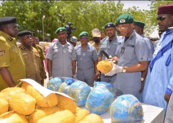 Kebbi: Customs makes major bust, seizes foreign rice, other goods valued at N126m