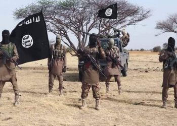 16 Lives lost, dozens injured as vehicle runs over ISWAP explosives in Borno