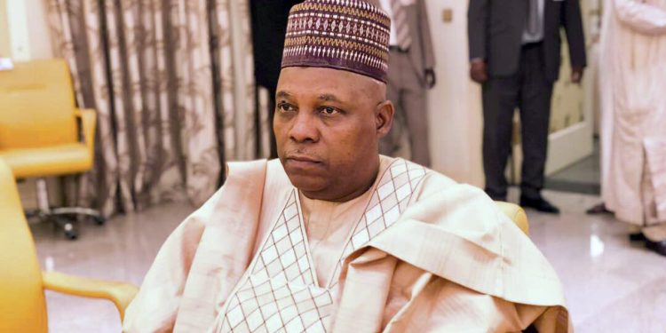 Vice President Kashim Shettima