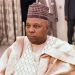 Vice President Kashim Shettima