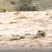 Flood engulfs northern Oman.