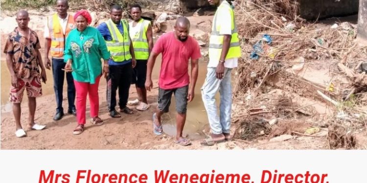 FEMA blocks Dogon Gada bridge to avert accident