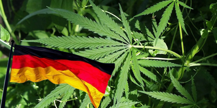 Historic move as Germany emerges largest EU member to legalize recreational cannabis
