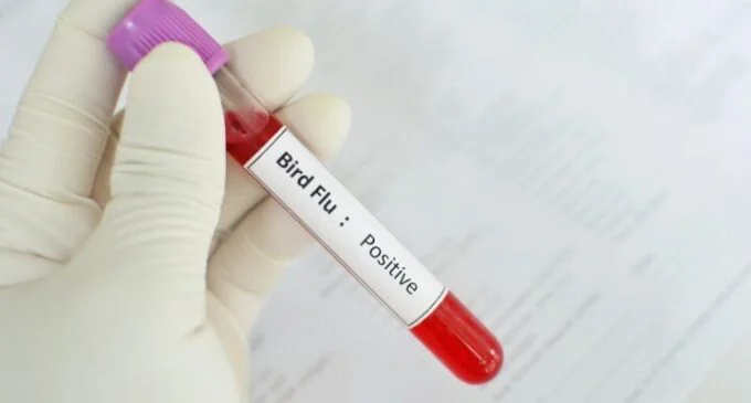 CDC confirms second human case of H5N1 bird flu in United States