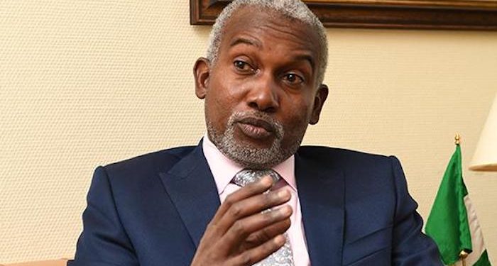 Minister of Foreign Affairs, Yusuf Tuggar