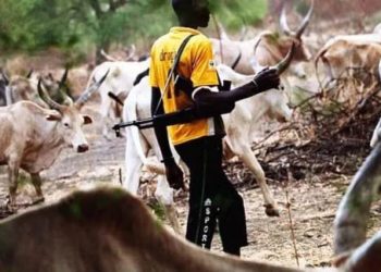 Armed herders attack Benue communities, kill three, displace villagers