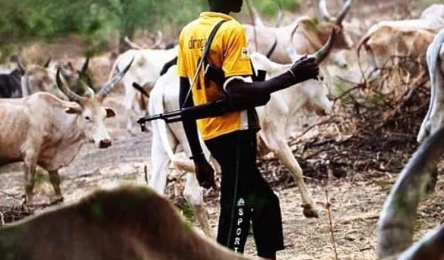 Armed herders attack Benue communities, kill three, displace villagers