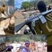 Herdsmen launch fresh attack on Enugu community, kill four, injure others