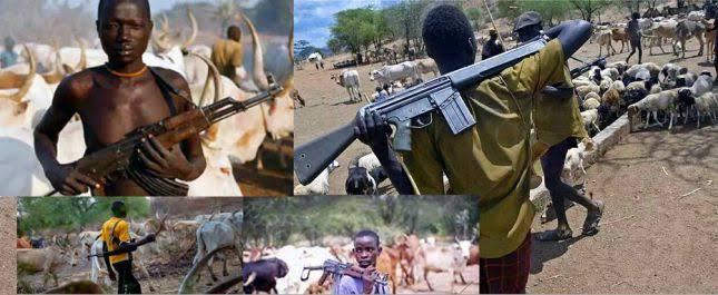 Herdsmen launch fresh attack on Enugu community, kill four, injure others