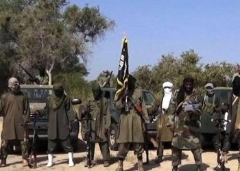 Terrorists ambuish, kill six soldiers in Borno State 