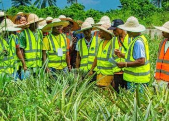 NDE trains 50 farmers in Imo State 
