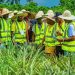 NDE trains 50 farmers in Imo State 