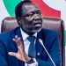 Former Gambian Vice President to lead ECOWAS observer team for Togo elections