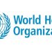 WHO initiates cholera test rollout amid surging cases worldwide