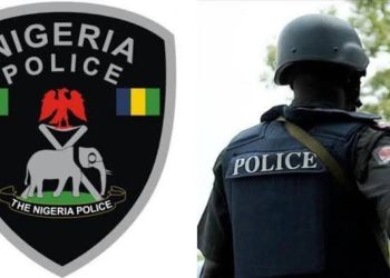 Police arrest woman with 317 live ammunition in Benue