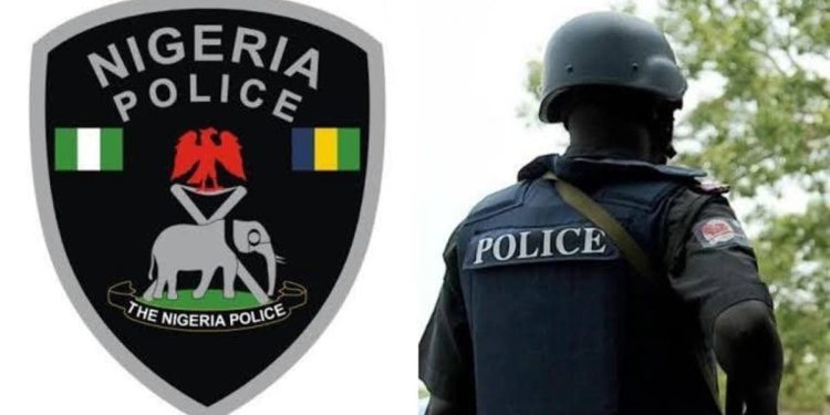 Police arrest woman with 317 live ammunition in Benue