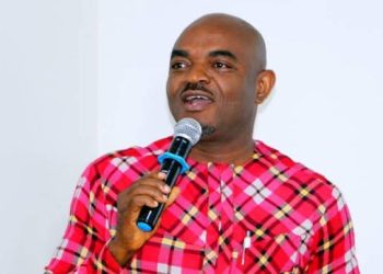 AGN appoints business mogul, kenneth Ifekudu as National Patron