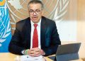 No sign of H5N1 bird flu spreading between humans – WHO chief