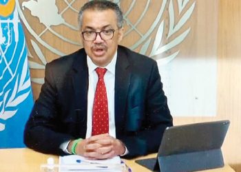 No sign of H5N1 bird flu spreading between humans – WHO chief