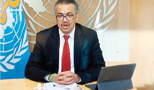 No sign of H5N1 bird flu spreading between humans – WHO chief