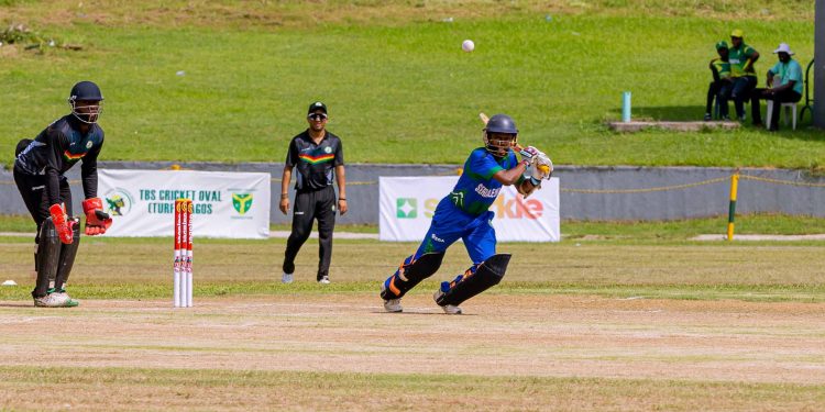 Cricket Players in action