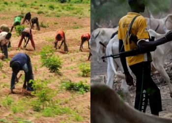 Farmers sustain injuries after clash with cattle herders in Jigawa State