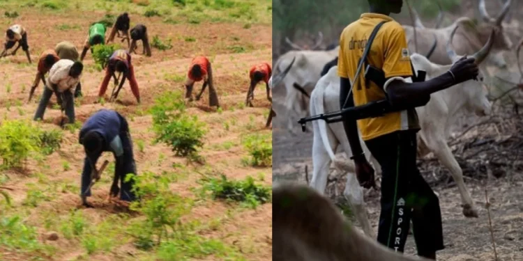 Farmers sustain injuries after clash with cattle herders in Jigawa State