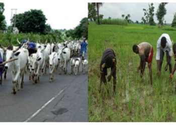 Bala signs bill on farmer-herdsman board, five others into law in Bauchi State