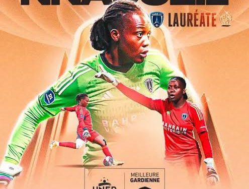 Super Falcon’s Nnadozie bags another award in France