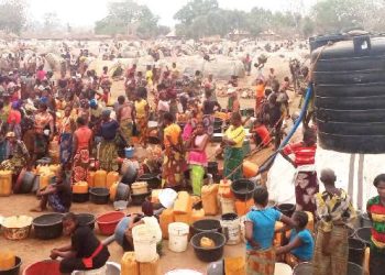 Benue IDPs beg for fumigation of camps against snake bites