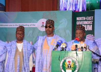 Capital projects: North-East Governors fault FG’s neglect of subregion