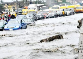 Tragic: Man slumps, dies while pushing a car in flood