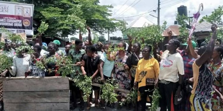 Policemen shoot at women protesting against extortion in Delta State 