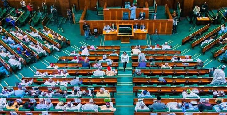 Reps may probe absence of adequate record on expatriates in Nigeria