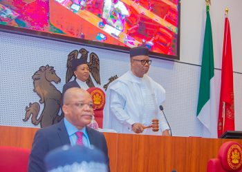 The Nigerian Senate in plenary