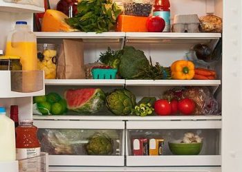 WHO warns against consuming refrigerated foods after two hours of power outageÂ